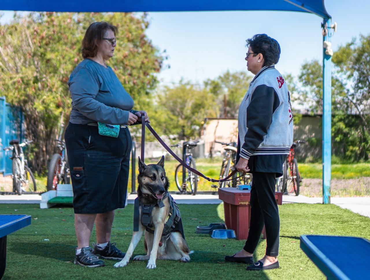 Making shelter life better for humans with furry friends The Society